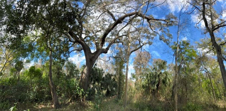 Land in Inverness, Florida № 2160178