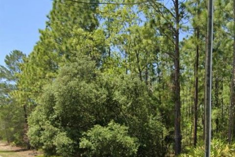 Terreno en venta en Beverly Hills, Florida № 1910173 - foto 4