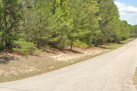 Terreno en venta en Beverly Hills, Florida № 1910173 - foto 3