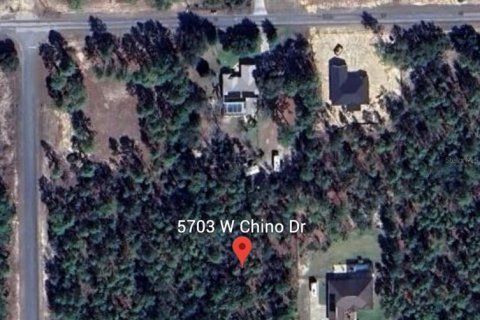 Terreno en venta en Beverly Hills, Florida № 1910173 - foto 5