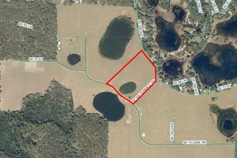 Land in Ocklawaha, Florida № 1686462 - photo 2