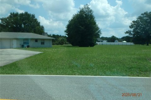 Casa en alquiler en DeLand, Florida, 3 dormitorios, 151.43 m2 № 1904530 - foto 2