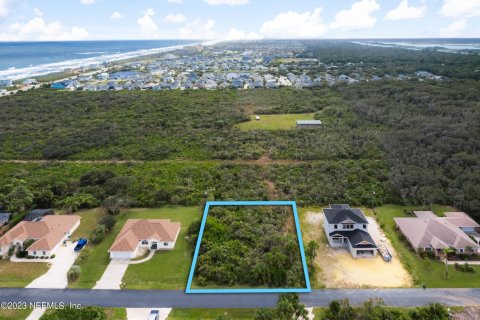 Land in Palm Coast, Florida № 843314 - photo 1