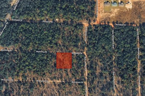 Land in Hawthorne, Florida № 2233793