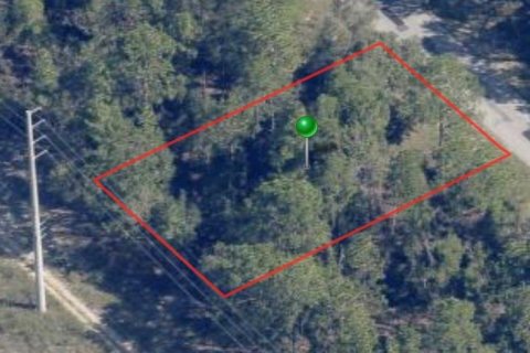 Land in Citrus Springs, Florida № 2162020