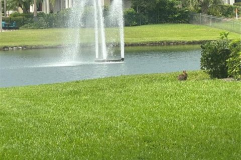 Condo in Dunedin, Florida, 2 bedrooms  № 1775101 - photo 5