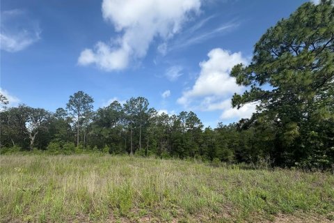 Terreno en Ocala, Florida № 2219045