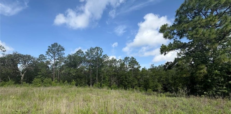 Terrain à Ocala, Floride № 2219045