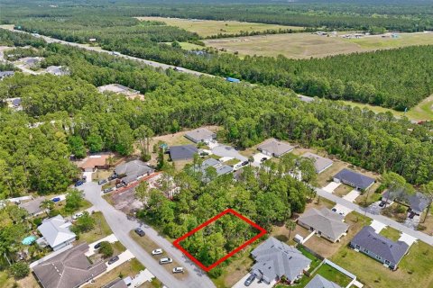 Land in Palm Coast, Florida № 1658363 - photo 13