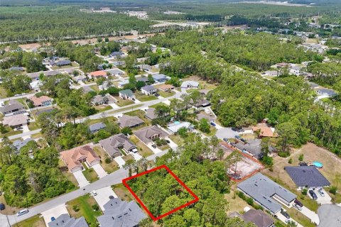 Land in Palm Coast, Florida № 1658363 - photo 16