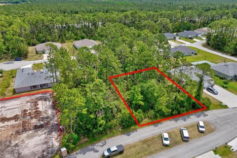 Land in Palm Coast, Florida № 1658363 - photo 3