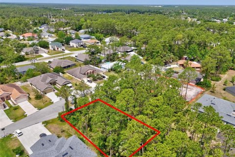Land in Palm Coast, Florida № 1658363 - photo 7