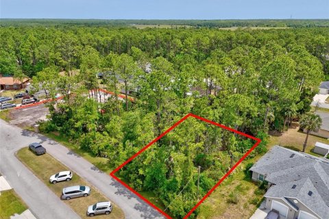Land in Palm Coast, Florida № 1658363 - photo 2