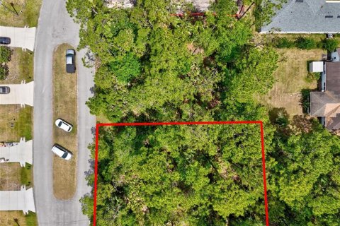 Land in Palm Coast, Florida № 1658363 - photo 11