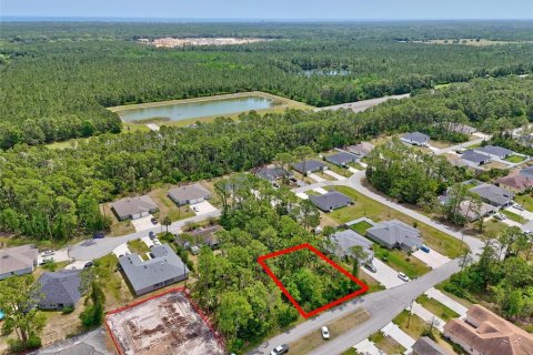 Land in Palm Coast, Florida № 1658363 - photo 20