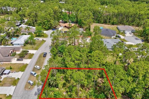Land in Palm Coast, Florida № 1658363 - photo 9