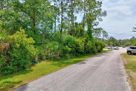 Land in Palm Coast, Florida № 1658363 - photo 22