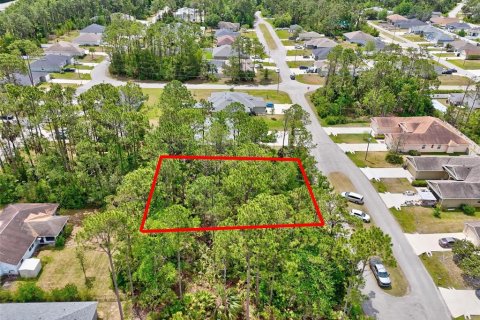Land in Palm Coast, Florida № 1658363 - photo 4