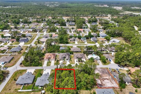 Land in Palm Coast, Florida № 1658363 - photo 17