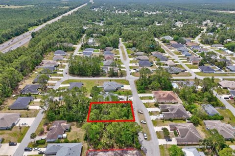 Land in Palm Coast, Florida № 1658363 - photo 19