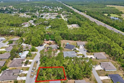 Land in Palm Coast, Florida № 1658363 - photo 14