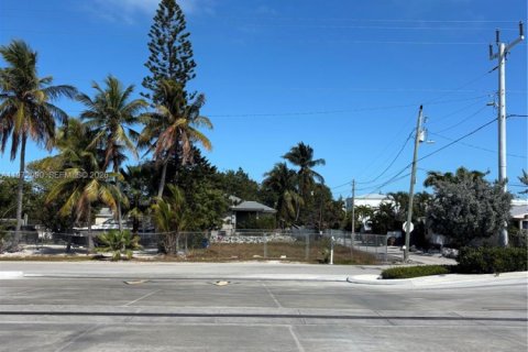 Terrain à vendre à Marathon, Floride № 2033629 - photo 5