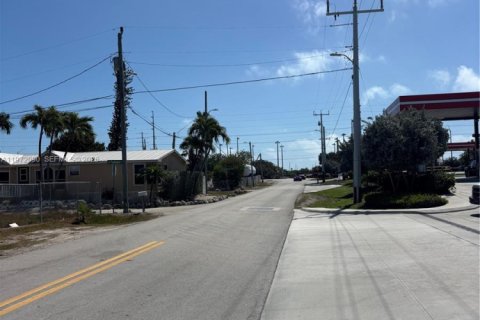 Terrain à vendre à Marathon, Floride № 2033629 - photo 3