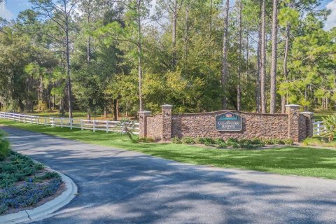 Terreno en venta en Leesburg, Florida № 939532 - foto 2