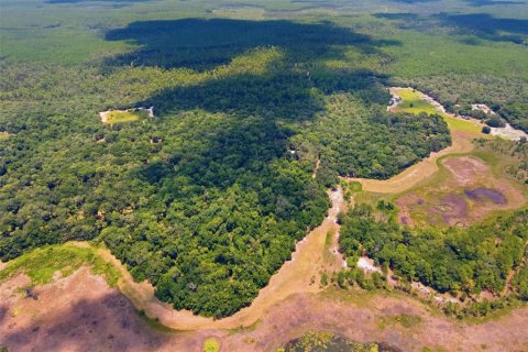 Купить виллу или дом в Уматилла, Флорида 4 комнаты, 62.43м2, № 2278087 - фото 15