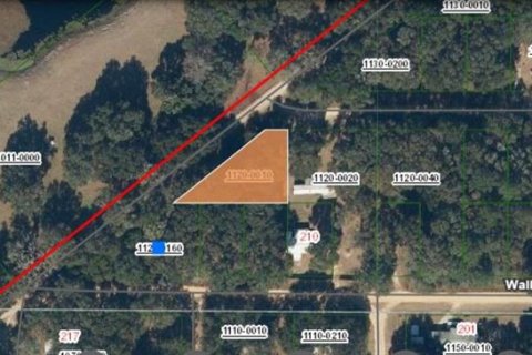 Land in Interlachen, Florida № 2162046