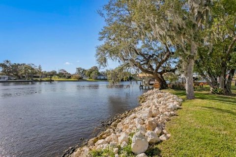 Casa en venta en Tampa, Florida, 3 dormitorios, 253.62 m2 № 1912007 - foto 1