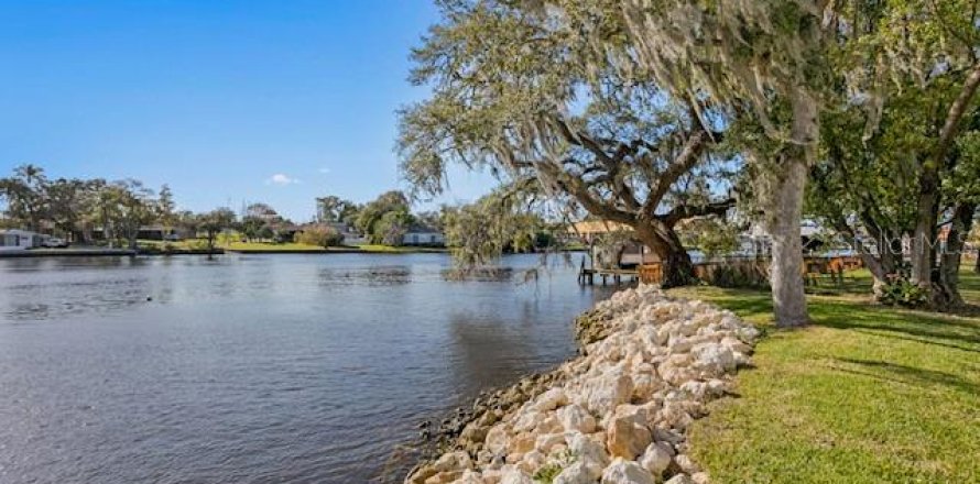 Casa en Tampa, Florida 3 dormitorios, 253.62 m2 № 1912007