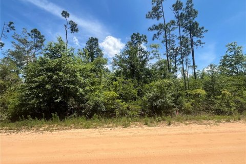 Terrain à Marianna, Floride № 2211690