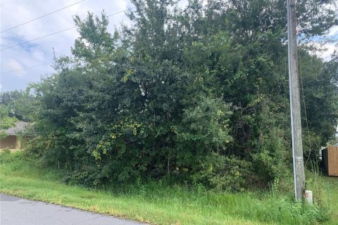 Terreno en venta en Kissimmee, Florida № 1383445 - foto 3