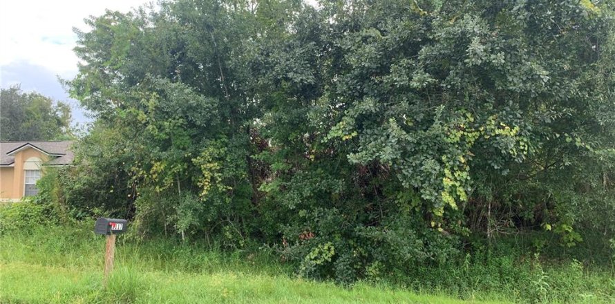 Terreno en Kissimmee, Florida № 1383445