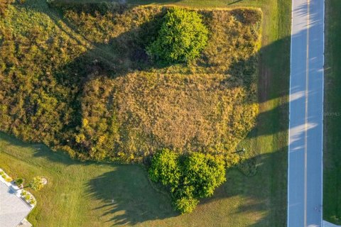 Terreno en venta en Rotonda, Florida № 2212128 - foto 9