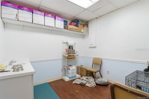 Commercial property in Floral City, Florida 250.46 sq.m. № 2208783 - photo 27