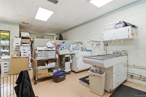 Commercial property in Floral City, Florida 250.46 sq.m. № 2208783 - photo 14