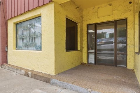 Commercial property in Floral City, Florida 250.46 sq.m. № 2208783 - photo 16