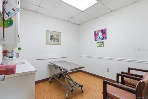 Commercial property in Floral City, Florida 250.46 sq.m. № 2208783 - photo 13