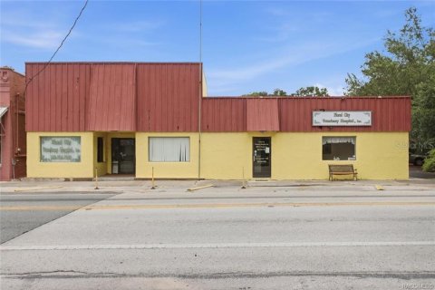 Commercial property in Floral City, Florida 250.46 sq.m. № 2208783 - photo 4