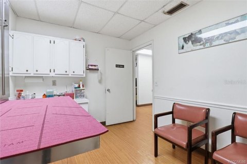 Commercial property in Floral City, Florida 250.46 sq.m. № 2208783 - photo 30
