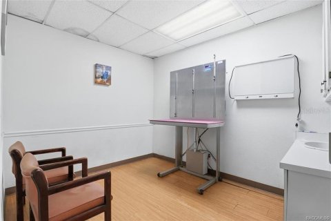 Commercial property in Floral City, Florida 250.46 sq.m. № 2208783 - photo 29