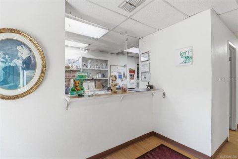 Commercial property in Floral City, Florida 250.46 sq.m. № 2208783 - photo 7