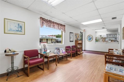 Commercial property in Floral City, Florida 250.46 sq.m. № 2208783 - photo 10