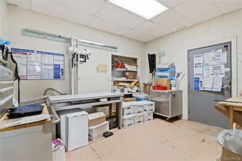 Commercial property in Floral City, Florida 250.46 sq.m. № 2208783 - photo 19