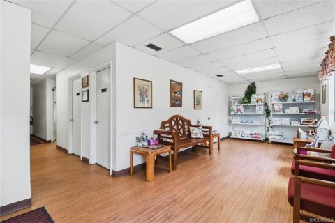 Commercial property in Floral City, Florida 250.46 sq.m. № 2208783 - photo 9