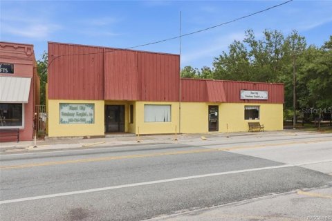 Commercial property in Floral City, Florida 250.46 sq.m. № 2208783