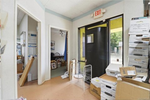 Commercial property in Floral City, Florida 250.46 sq.m. № 2208783 - photo 17