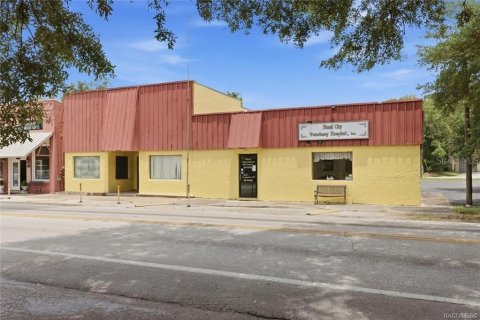 Commercial property in Floral City, Florida 250.46 sq.m. № 2208783 - photo 3